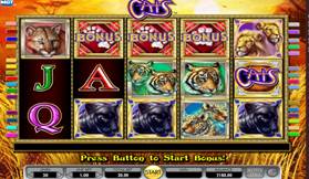 Cats Slot Bonus Round activation