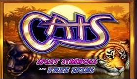 Cats Slot Introduction