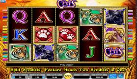 Cats Slot Screenshot