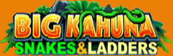 Big Kahuna Snakes And Ladder