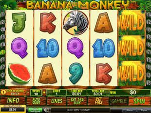 Banana Monkey Slot Screenshot